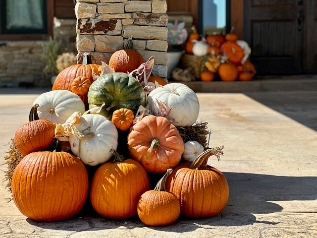 Pumpkin Packages, Pumpkin Display, Pumpkin Delivery, Porch Pumpkins