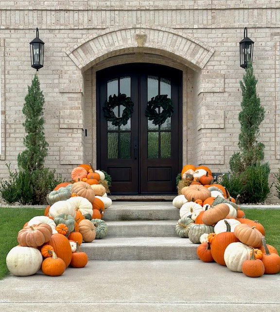 Pumpkin Packages, Pumpkin Display, Pumpkin Delivery, Porch Pumpkins