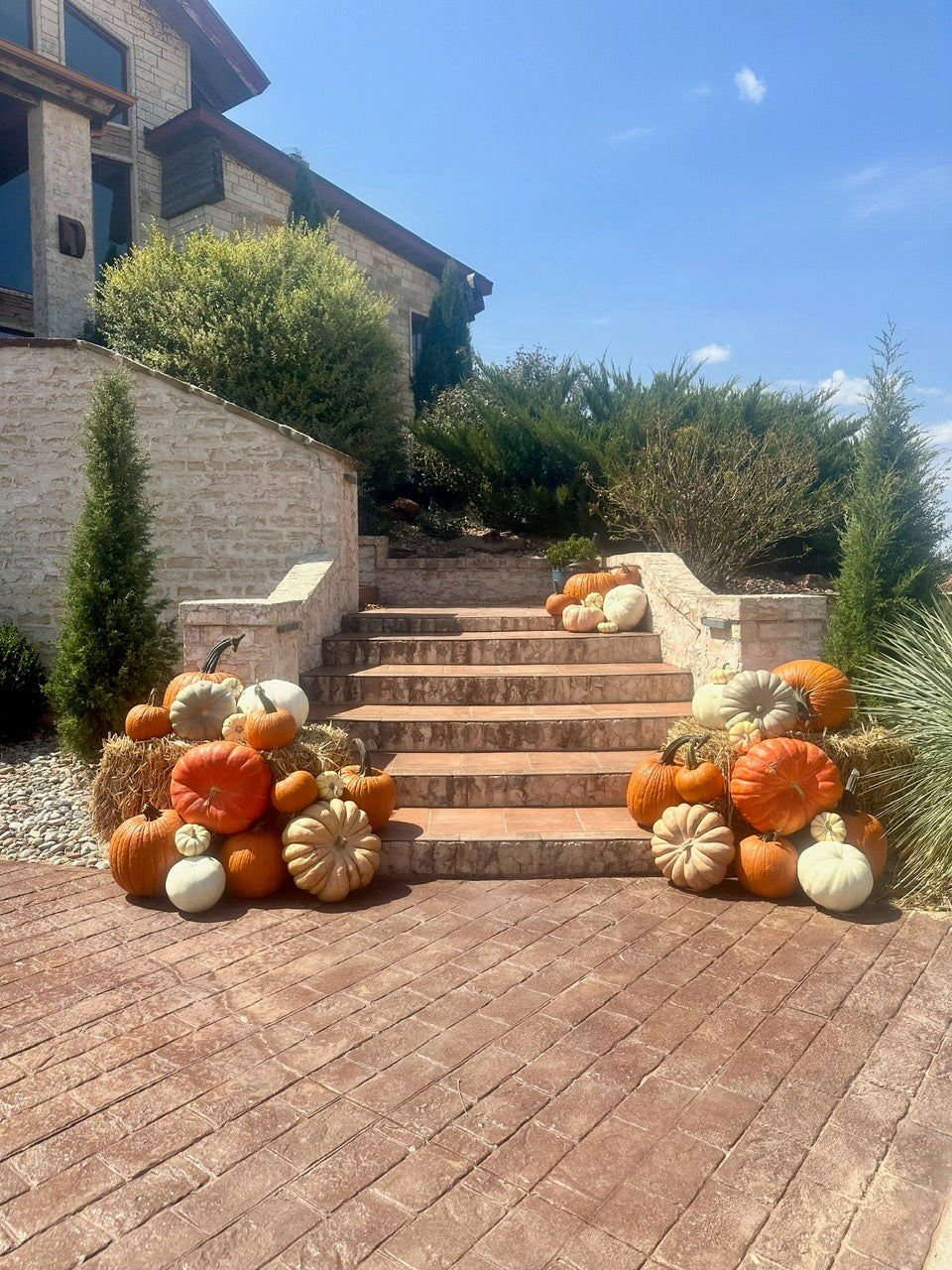 Pumpkin Packages, Pumpkin Display, Pumpkin Delivery, Porch Pumpkins