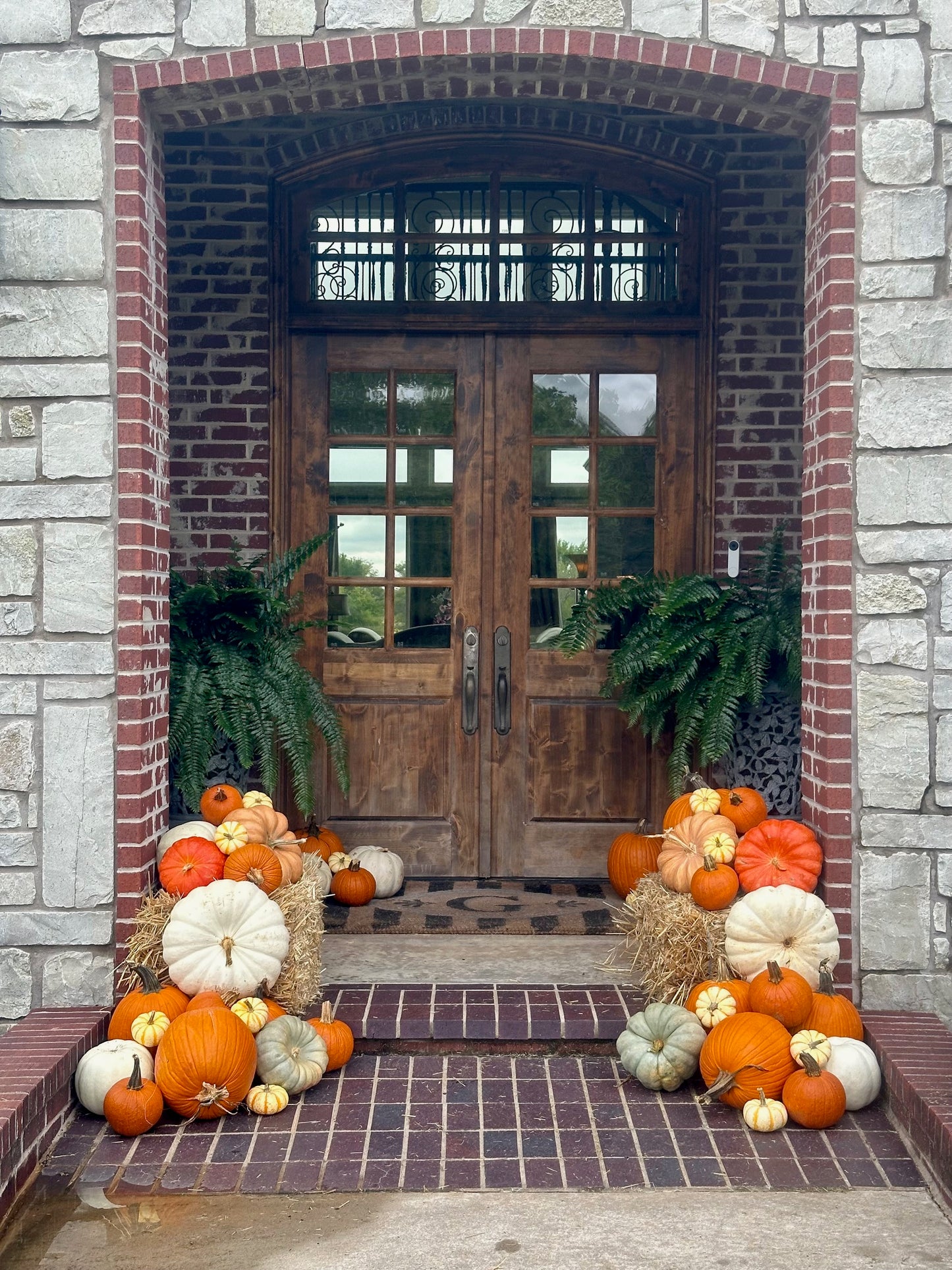 Pumpkin Packages, Pumpkin Display, Pumpkin Delivery, Porch Pumpkins
