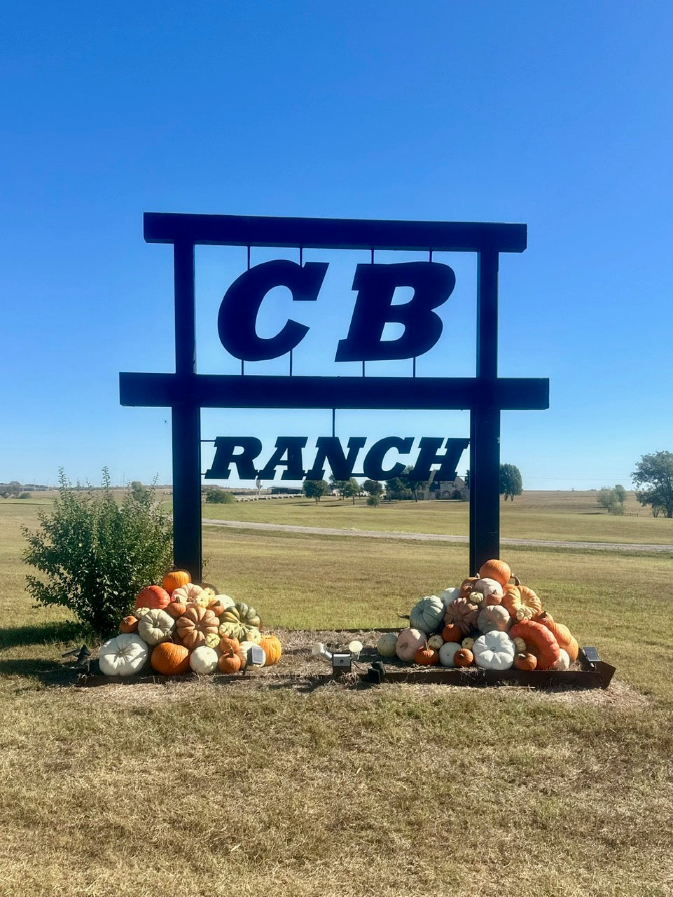 Pumpkin Packages, Pumpkin Display, Pumpkin Delivery, Porch Pumpkins