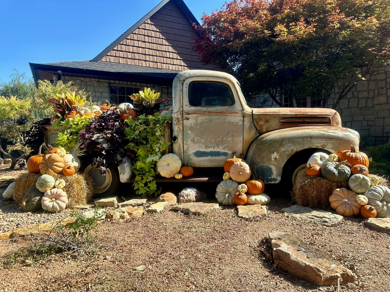 Pumpkin Packages, Pumpkin Display, Pumpkin Delivery, Porch Pumpkins