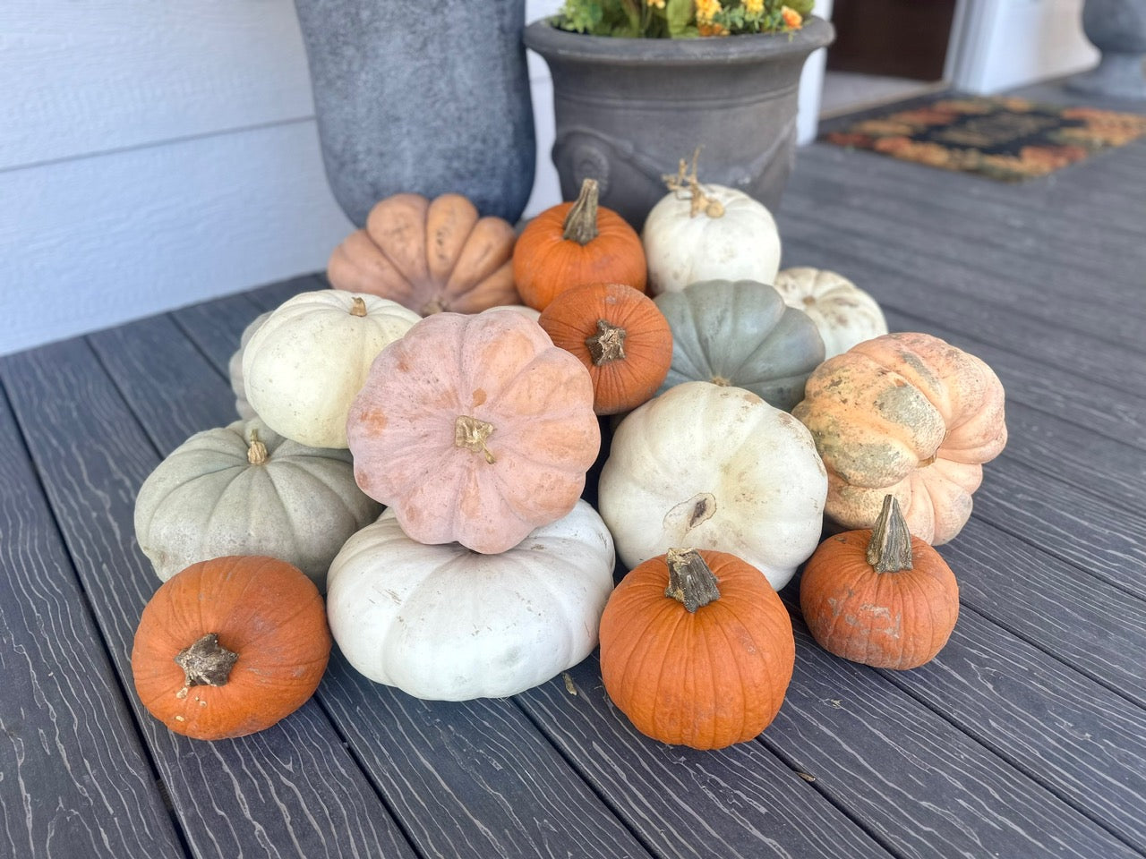 Pumpkin Packages, Pumpkin Display, Pumpkin Delivery, Porch Pumpkins