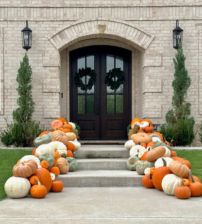 Pumpkin Packages, Pumpkin Display, Pumpkin Delivery, Porch Pumpkins