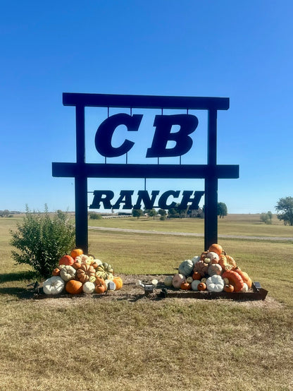 Pumpkin Packages, Pumpkin Display, Pumpkin Delivery, Porch Pumpkins