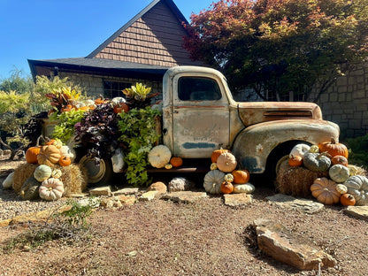 Pumpkin Packages, Pumpkin Display, Pumpkin Delivery, Porch Pumpkins